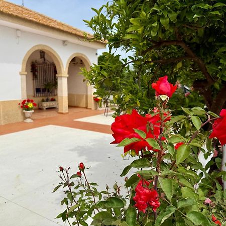 Villa La Casa Del Flamenco Cañada del Rabadán Exterior foto