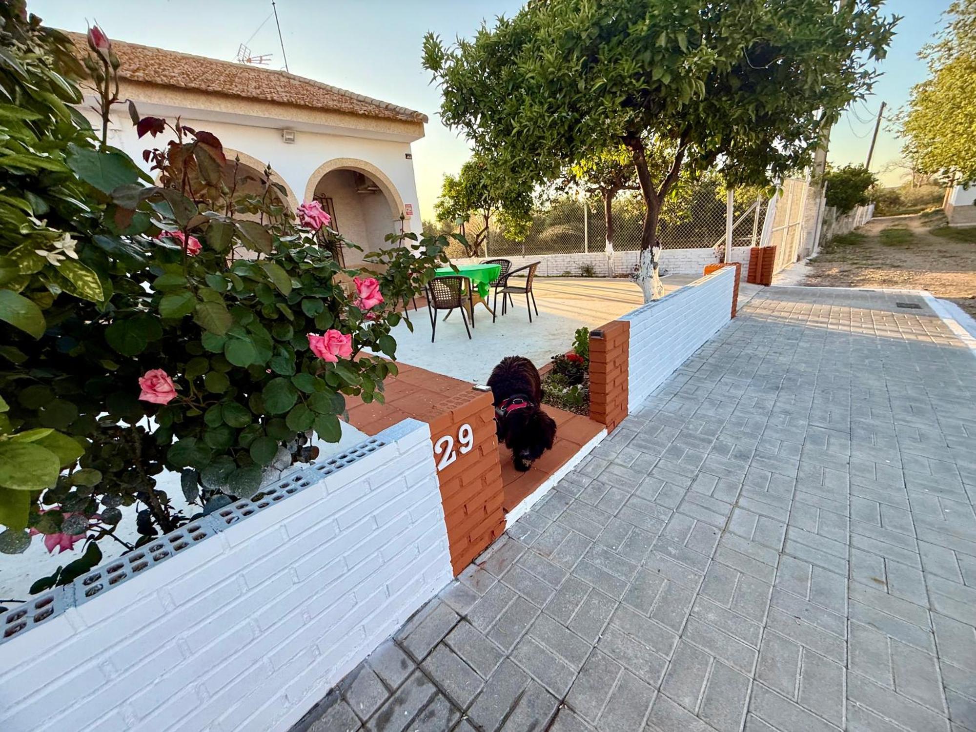 Villa La Casa Del Flamenco Cañada del Rabadán Exterior foto